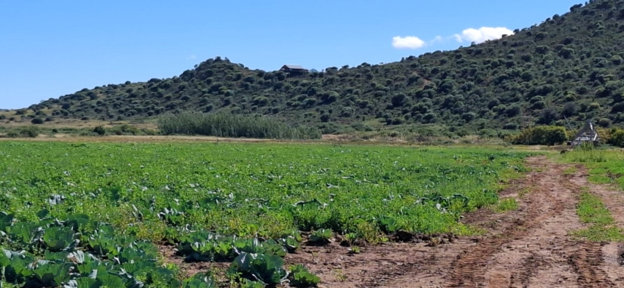 3 Bedroom Property for Sale in Bloemfontein Rural Free State